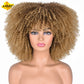 LIZZY Short Afro Kinky Curly Wigs With Bangs For Black Women African Synthetic Ombre Brown Cosplay Wig High Temperature Glueless