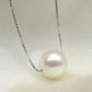 Simple Ladies Jewelry 925 Sterling Silver Necklace White Shell Pearl Pendant Necklaces Fashion Gift Accessories