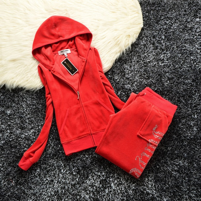 Spring/Fall 2021 Women's Brand Velvet Fabric Tracksuits Velour Suit Women Track Suit Hoodies And Pants fat sister sportswear